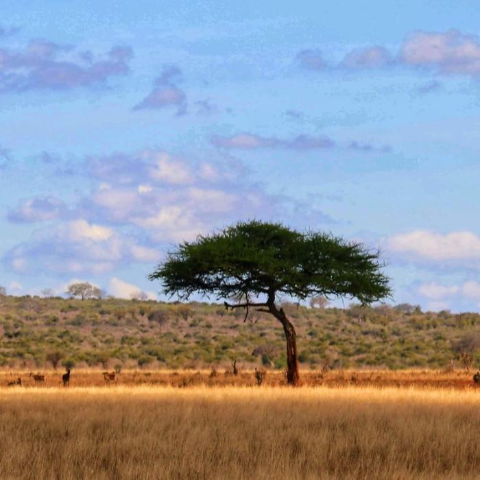 Climate Change Increases Likelihood of Violent Extremism