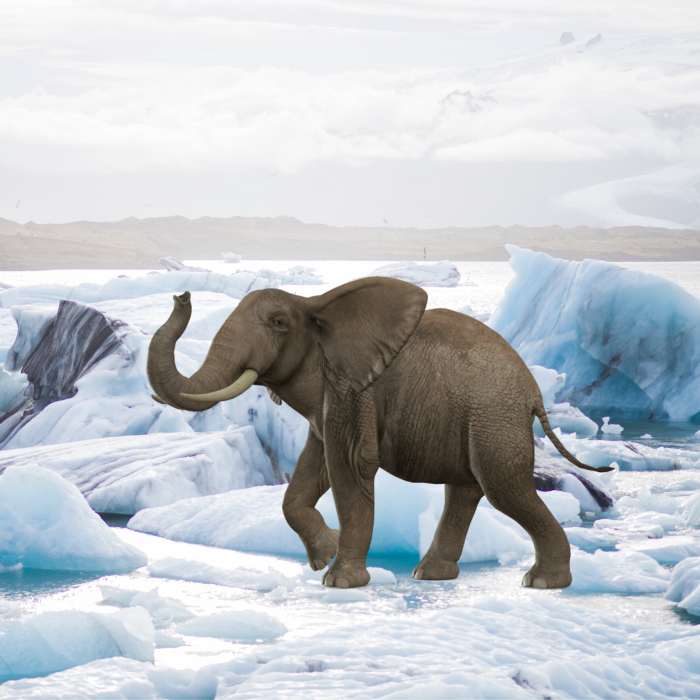The Arctic Elephant: Europe & geopolitics of the high north