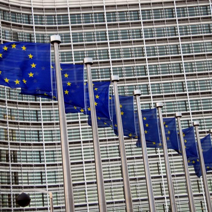The European Commission in balance?