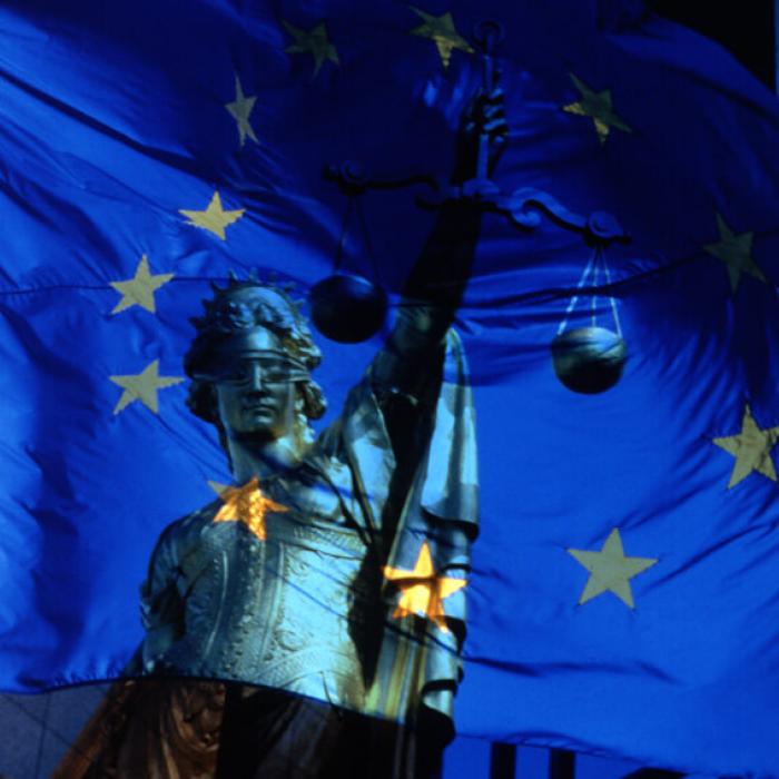 Monitoring and Enforcement in the European Union