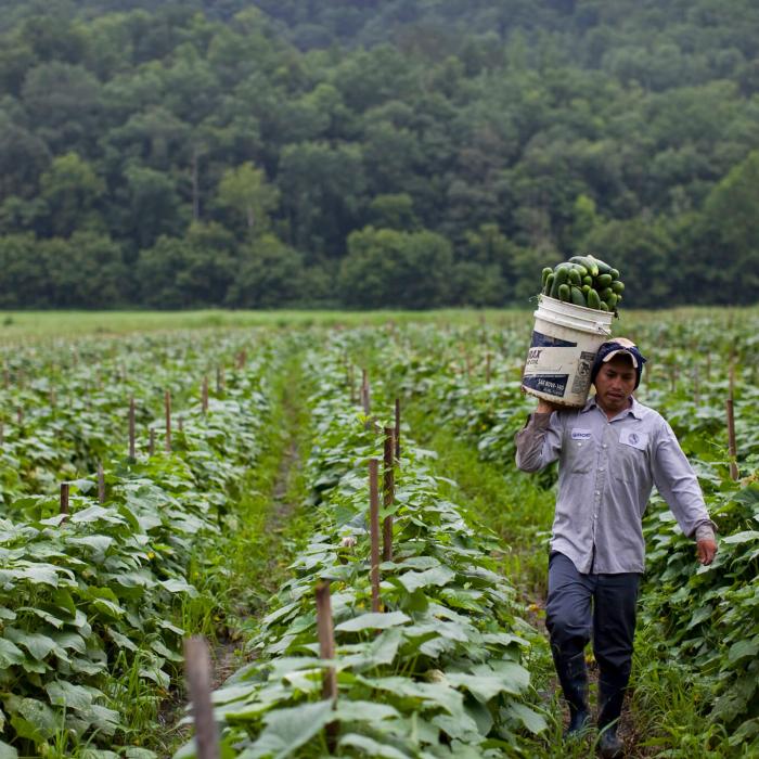 Providing consular services to low-skilled migrant workers