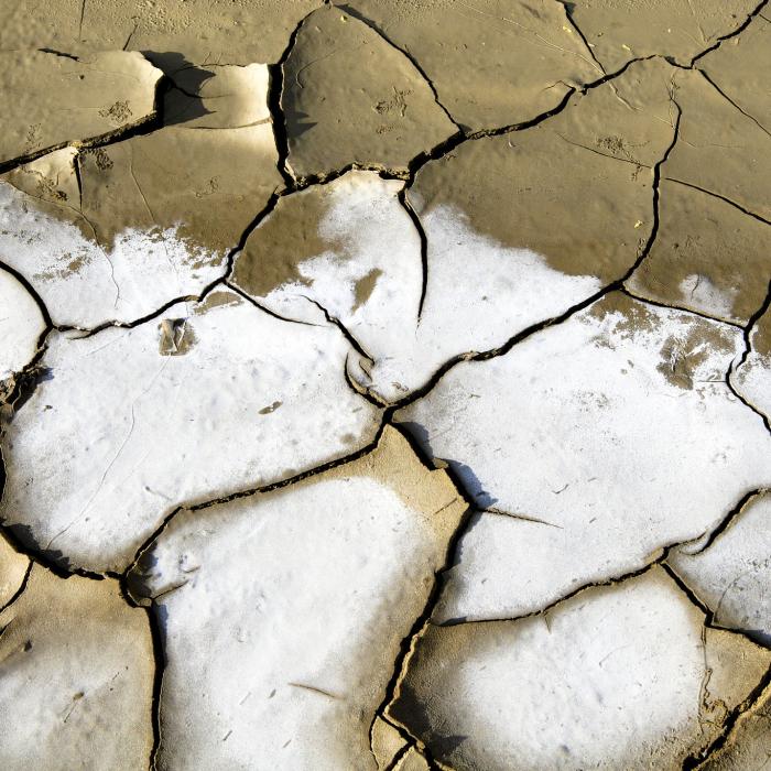 WHO should declare climate change a public health emergency