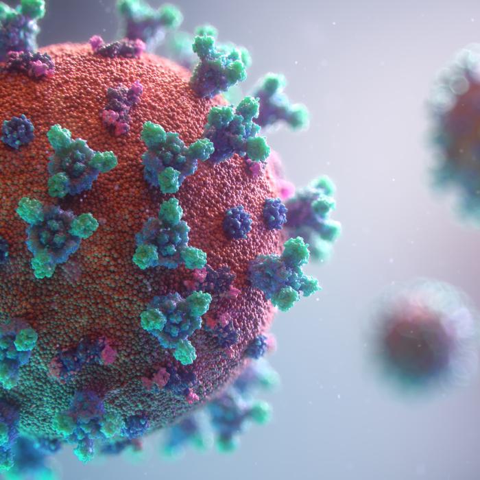 Coronavirus: The world's first digital pandemic