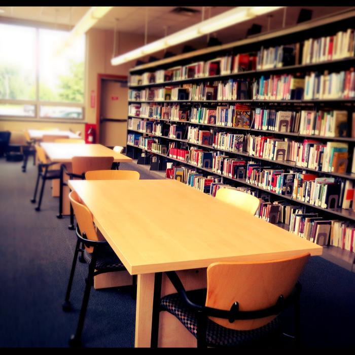 China’s invloed op onderwijs in Nederland