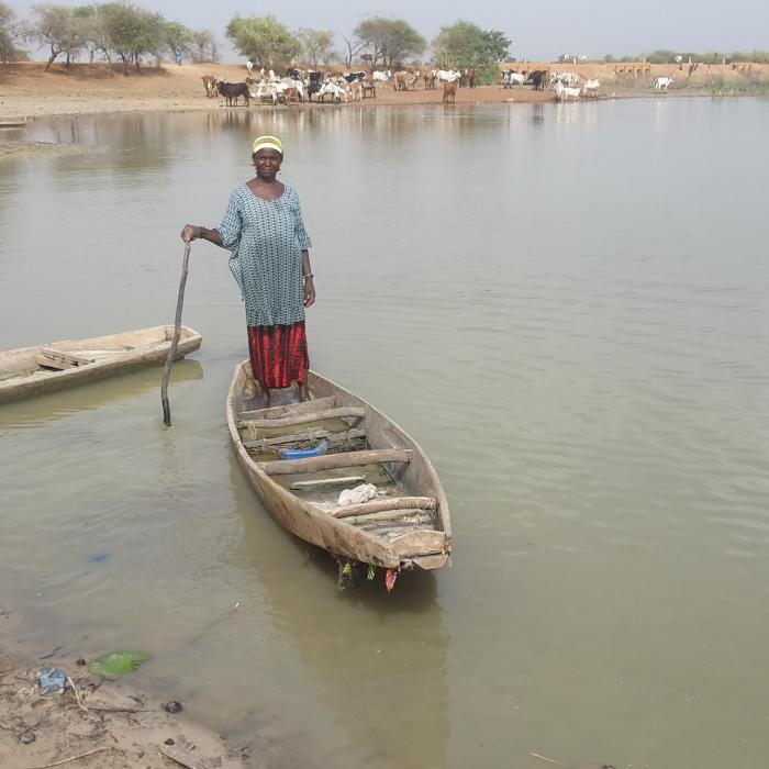 Improving decentralised natural resource management in the Sahel