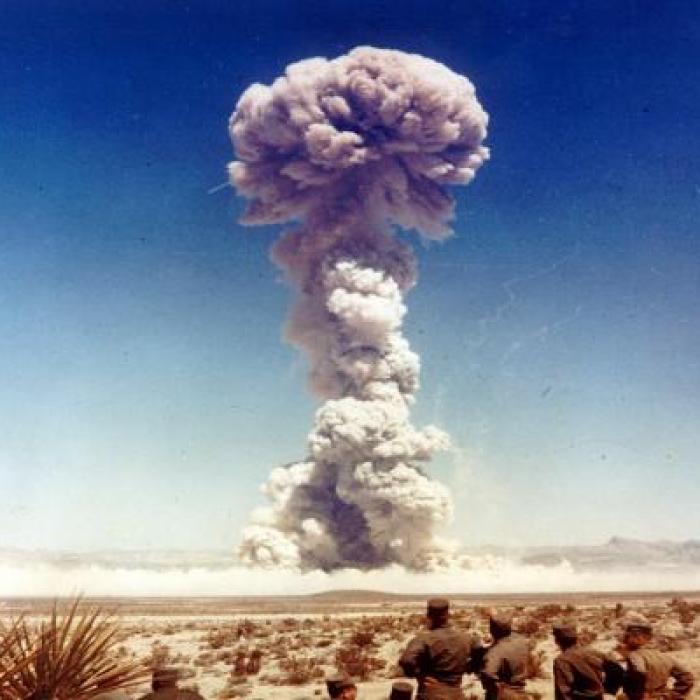 Nuclear risk reduction interim success for NPT Review Conference
