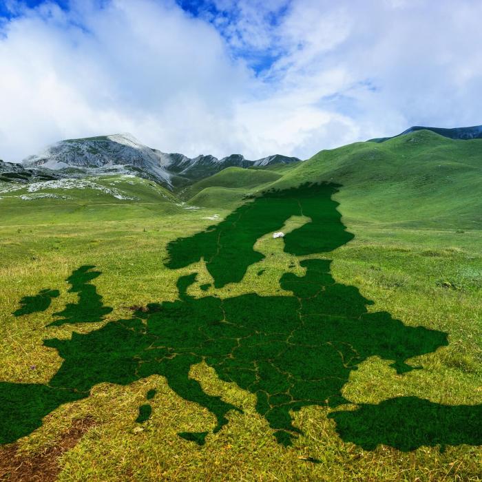 The European Commission on the brink of a green recovery