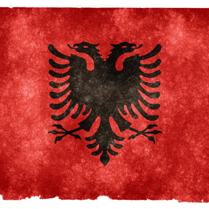 Albanian-Dutch cooperation to fight transnational organised crime