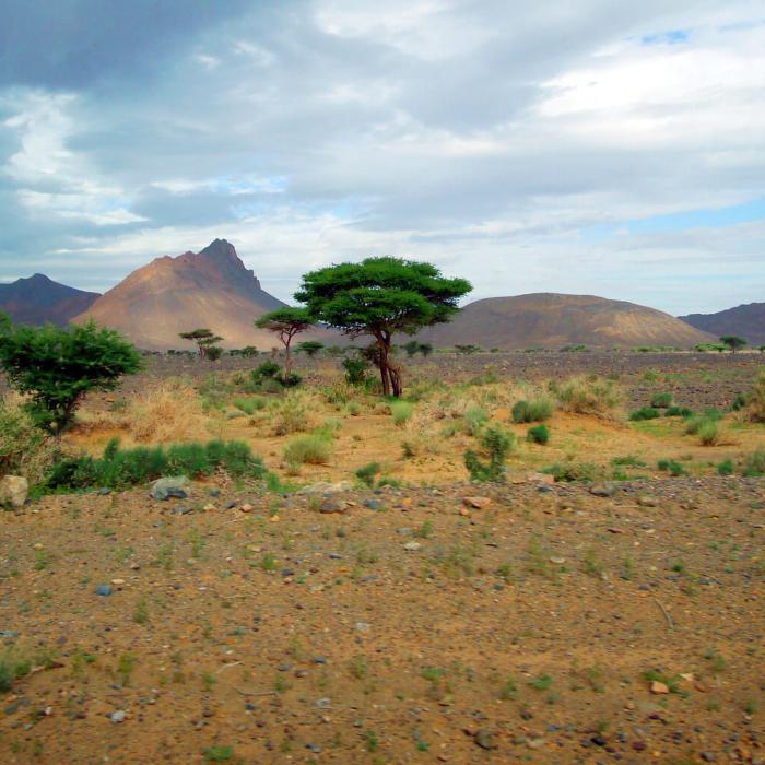 The ‘Fight against Terrorism’ in the Sahel revisited