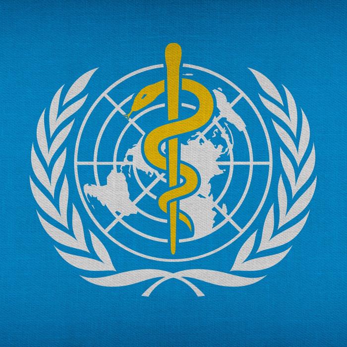 Upholding the World Health Organization: Next Steps for the EU