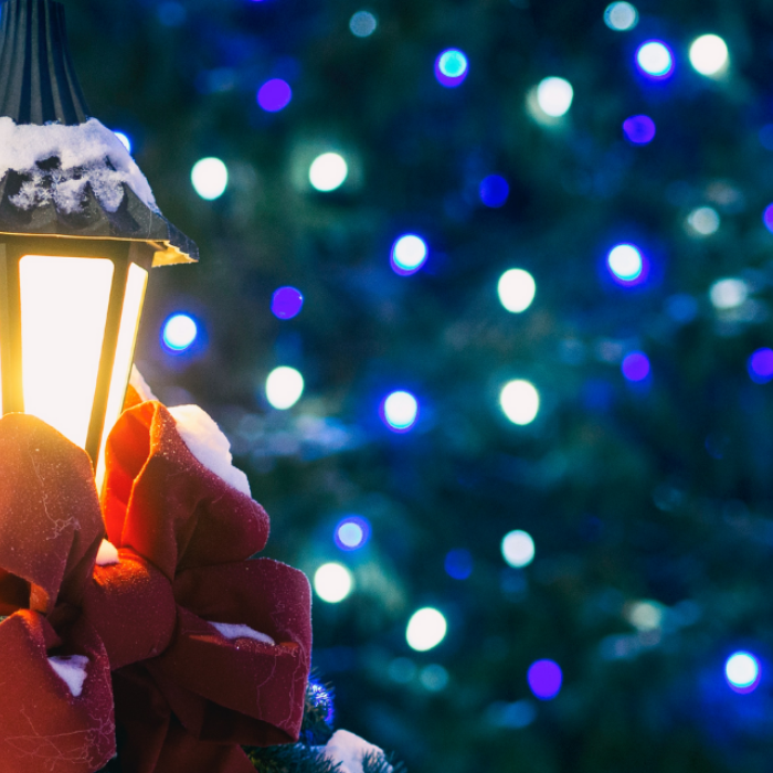 Christmas Reads & Webinars 2020