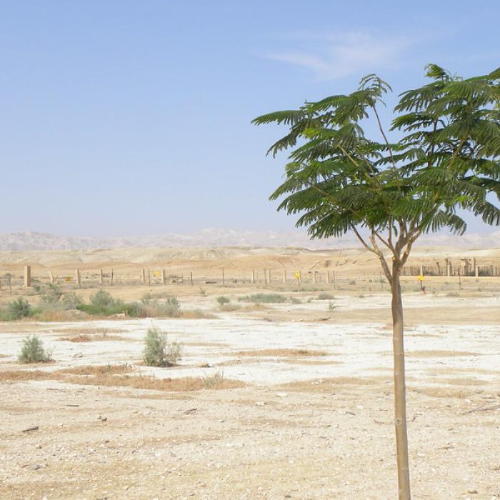 Towards a Better Understanding of Climate Security Practices
