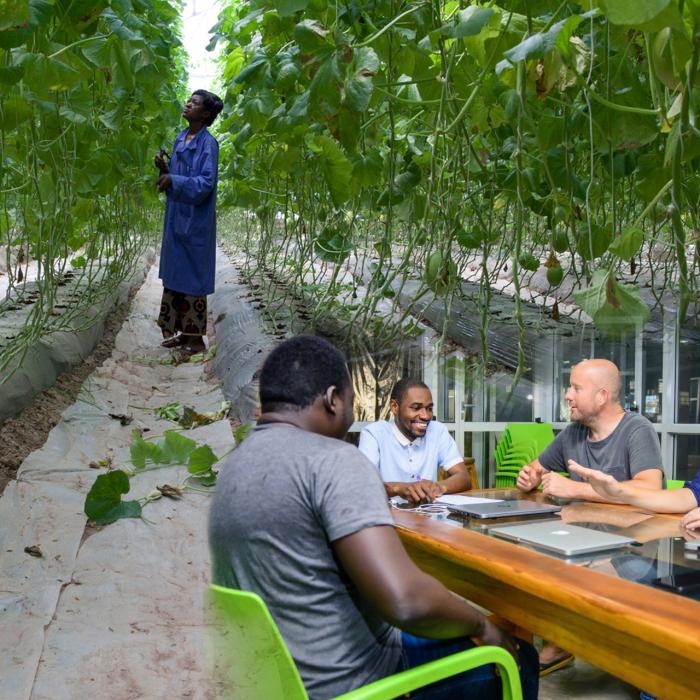 Gedeeld belang bij circulaire migratie
