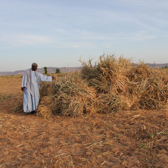 Examining the migration development nexus in Kayes Region, Mali