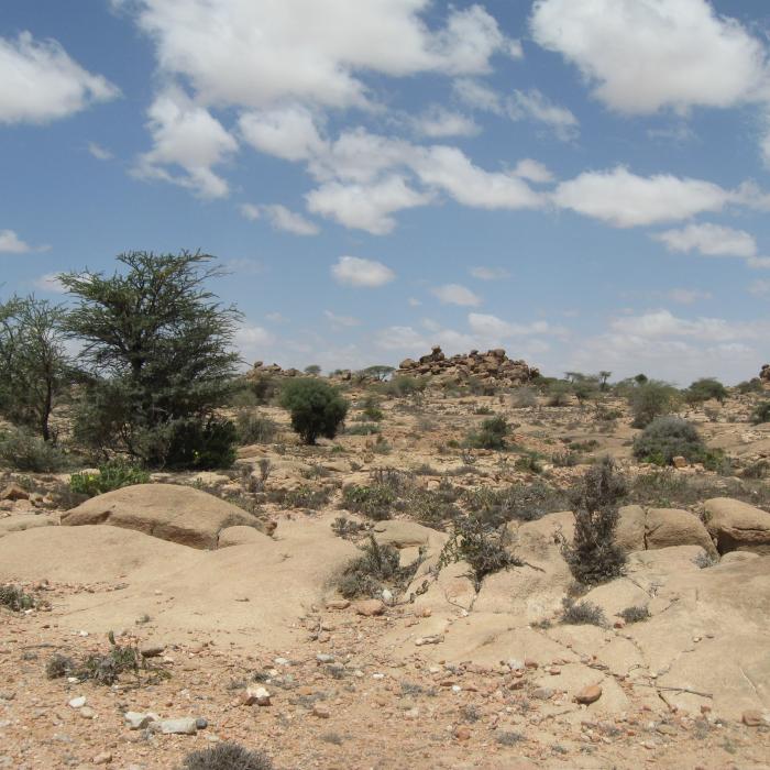 NCEA Advice on Sustainable programme  development in Somalia