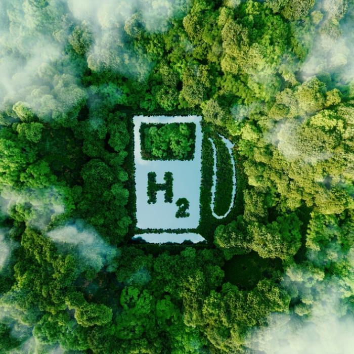 Turning EU green energy diplomacy into reality