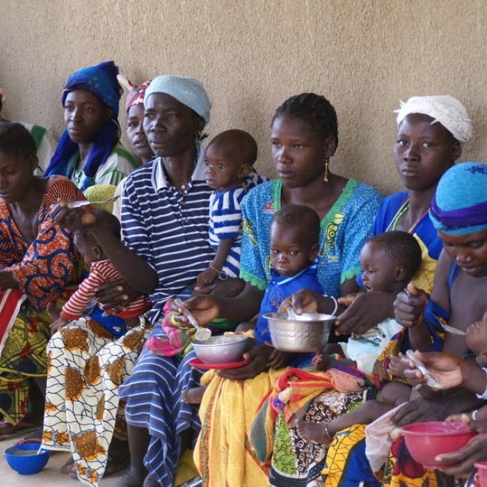 The case of Burkina Faso’s Est region