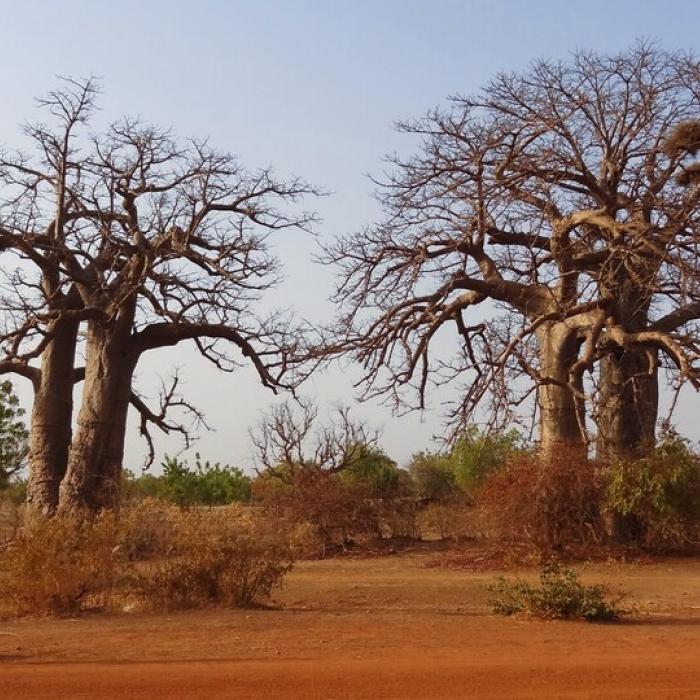 The case of Burkina Faso’s Sahel Region