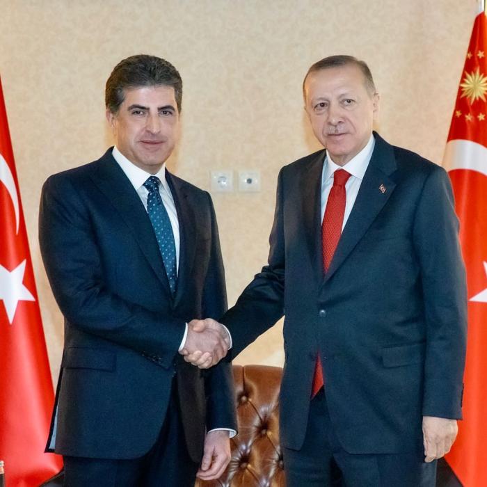 Turkish interventions in its near abroad: The case of KRI (Iraq)