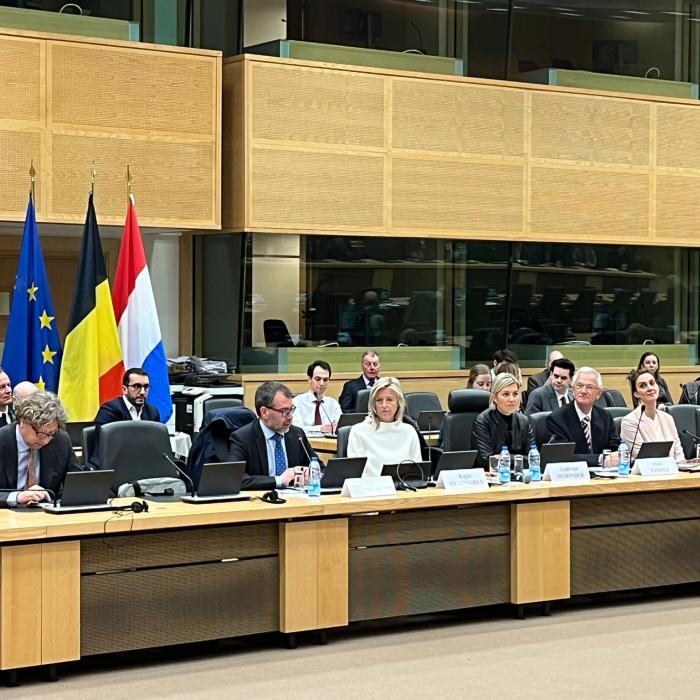  International Conference: The EU Strategic Compass