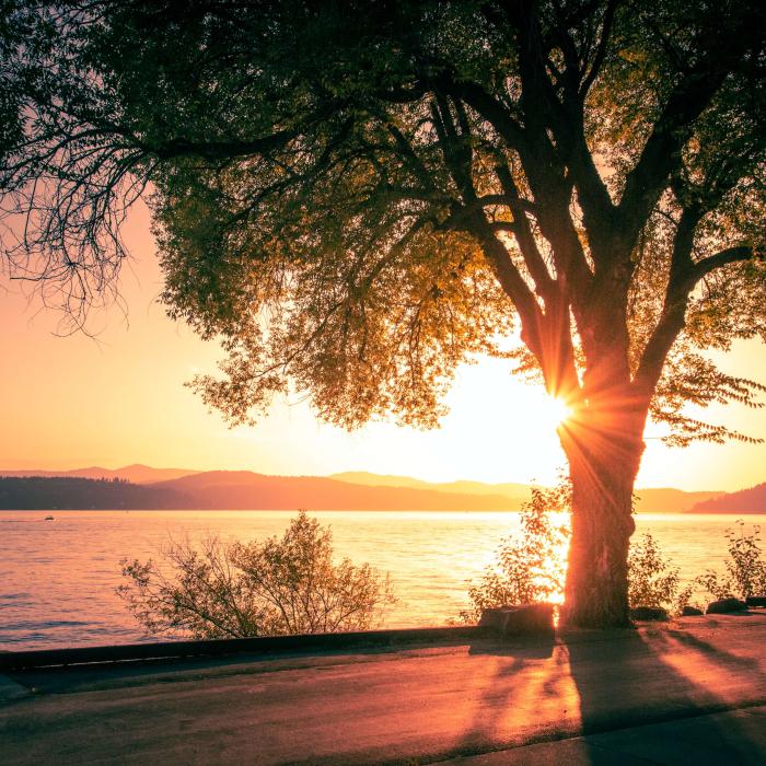 Summer Reads & Videos 2022