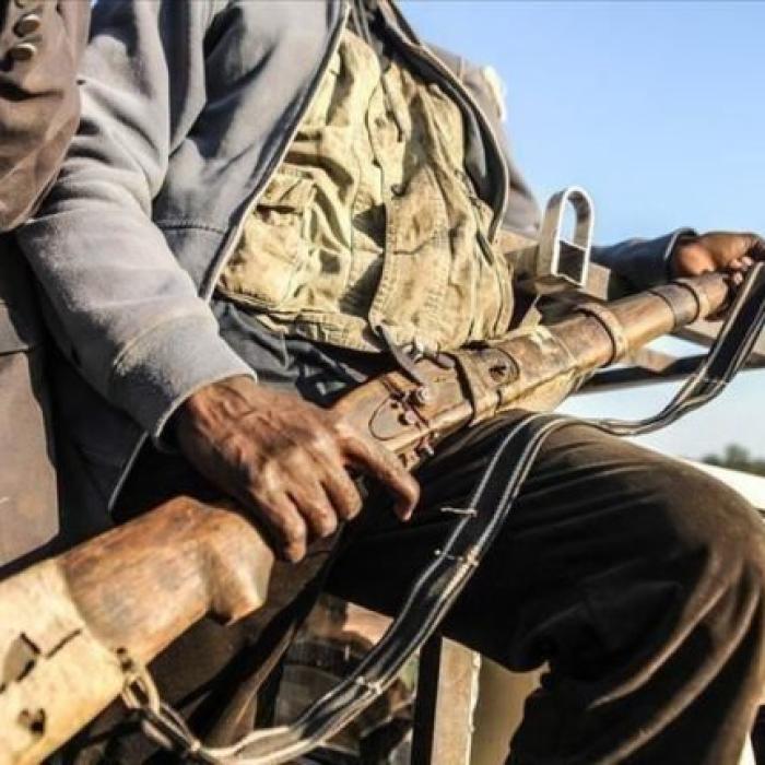 Self-defence groups, politics and the Sahelian State