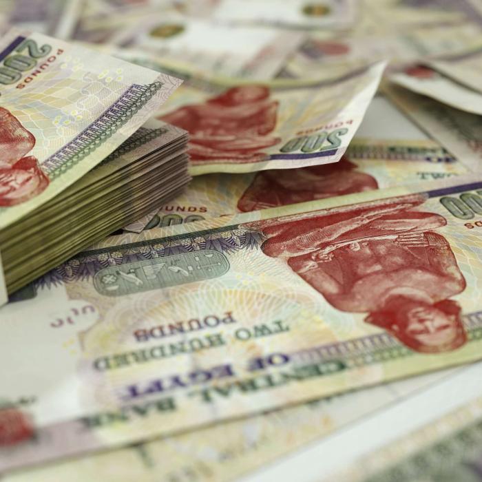 The Egyptian political economy under al-Sisi