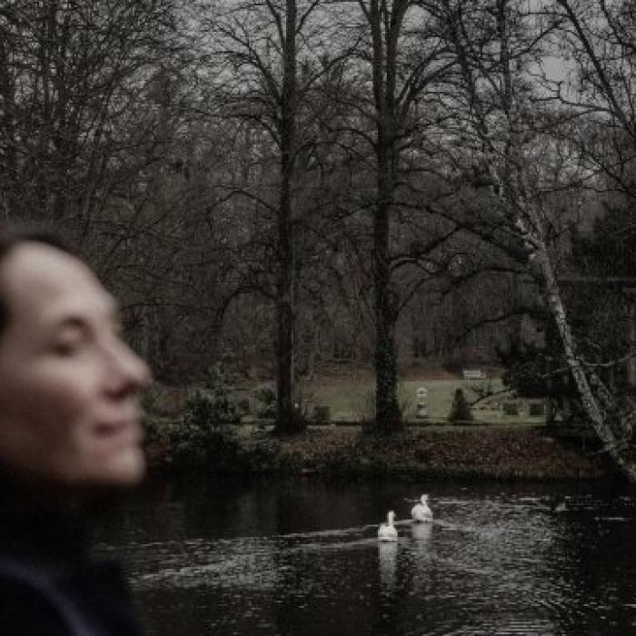 'We beleven een Weimar-moment'