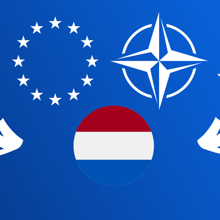 Europese defensiecapaciteiten en de Nederlandse inspanning