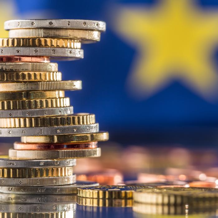 The Multiannual Financial Framework