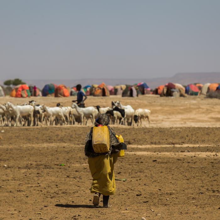 Climate security in Dutch international climate policy
