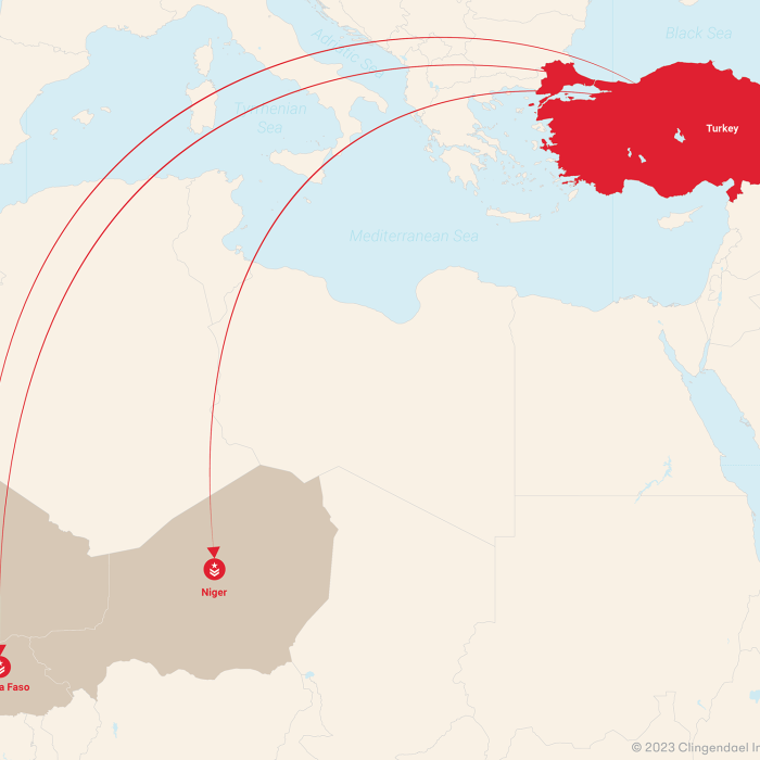 Unravelling Turkish involvement in the Sahel