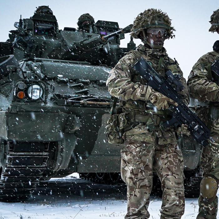 NATO’s Vilnius summit: the consequences for the Allies