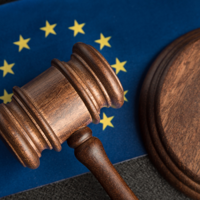 Economic governance and the rule of law in the EU