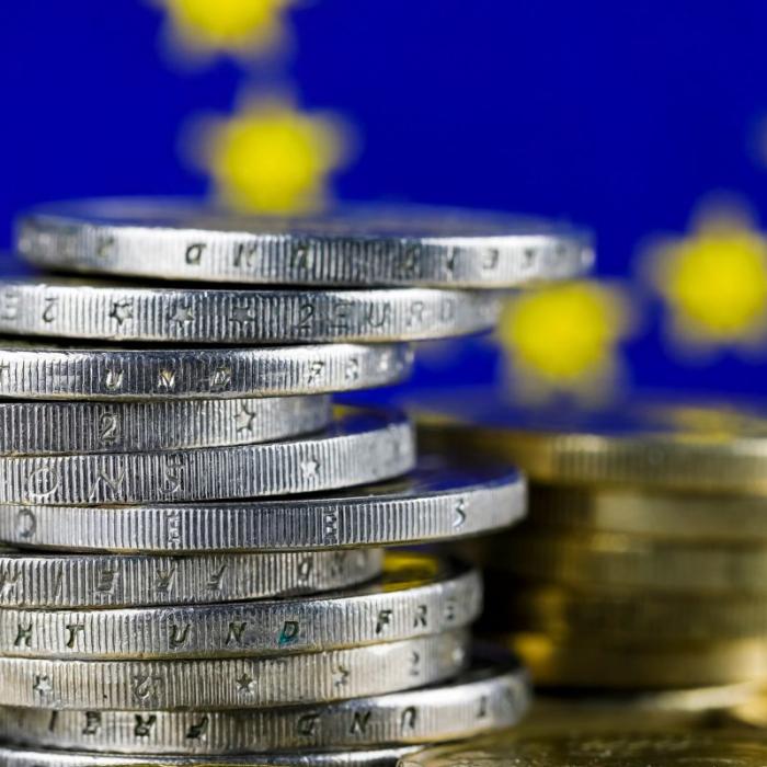  The EU budget and the national  capacity to investment