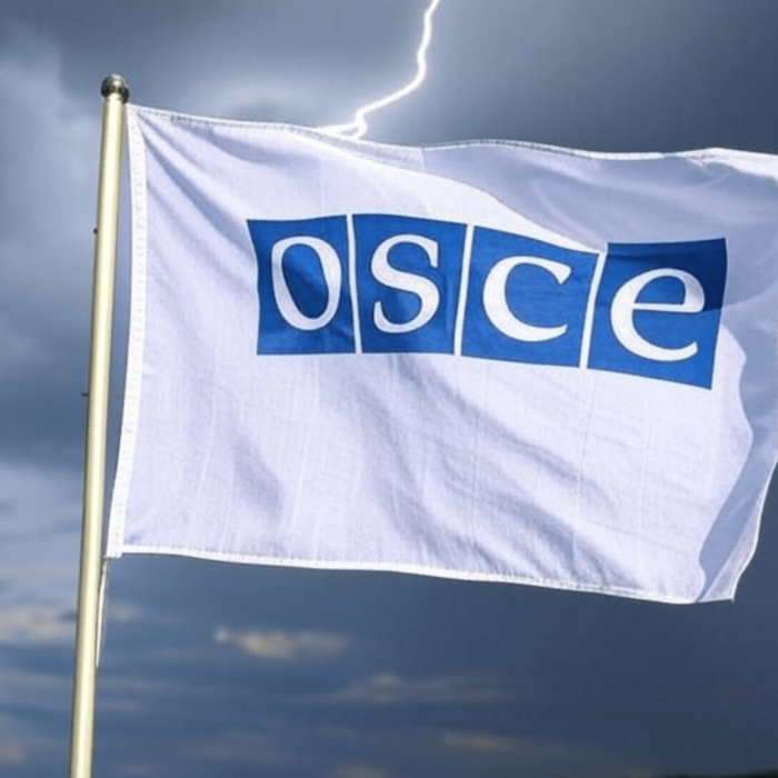 Neither secure nor co-operative? The potential futures of the OSCE