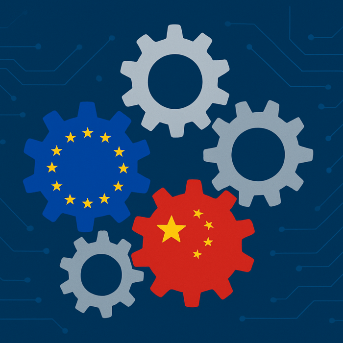 Standardisation with  Chinese Characteristics?
