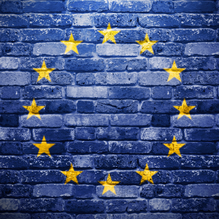 United in values, enlarged in diversity? 
