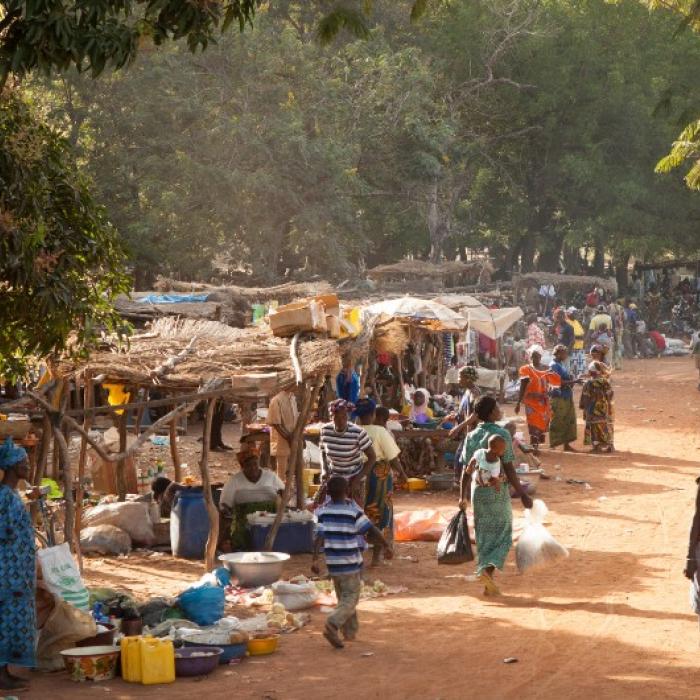 Stability and livelihood challenges in the borderlands of Coastal West Africa