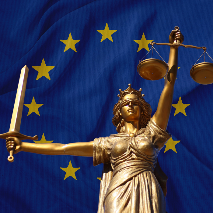 What it takes to protect fundamental values in the European Union