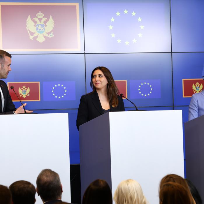Challenge accepted? EU Enlargement non-papers provide mixed picture of EU integration commitment