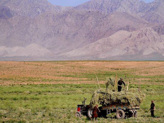 Diplomats from Afghanistan in training