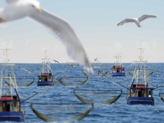 Internationale Spectator over mondiale publieke goederen