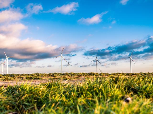 Climate Envoy discusses government’s role in sustainability