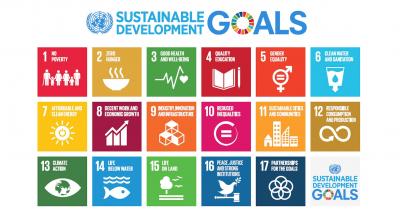 SDG Partnerships with the Private Sector