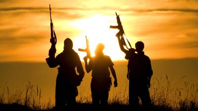 The foreign fighters phenomenon in the EU