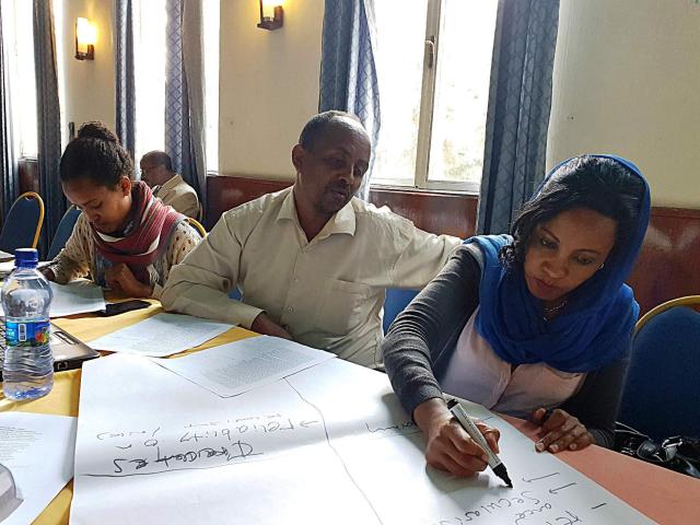 Looking to the future: scenario building in Ethiopia 