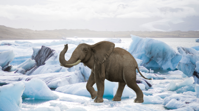 The Arctic Elephant: Europe & geopolitics of the high north