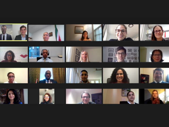OAS senior diplomats conclude online training