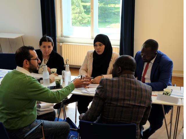 Multiplying the peace making efforts of insider mediators